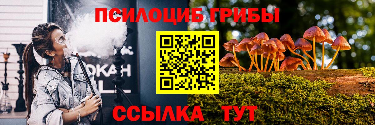 Псилоцибиновые грибы Cubensis  Вход с VPN  Галлюциногенные грибы GOLDEN TEACHER  Шатура 